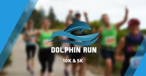 Dolphin Run