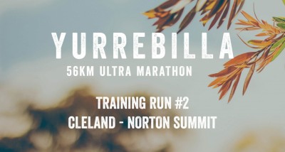 Yurrebilla 56K Ultra 2024 Training Run #2